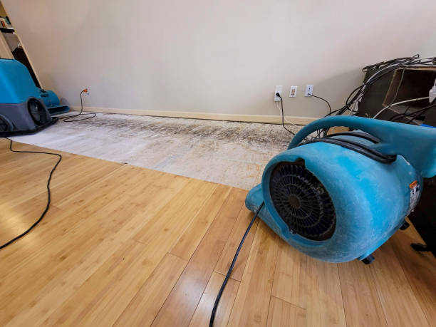 Professional Sewage Cleanup technician working in Wildwood, FL